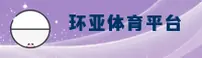 使用指南与常见问题
